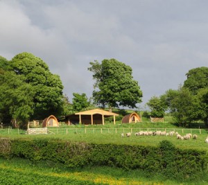 Powys Pods
